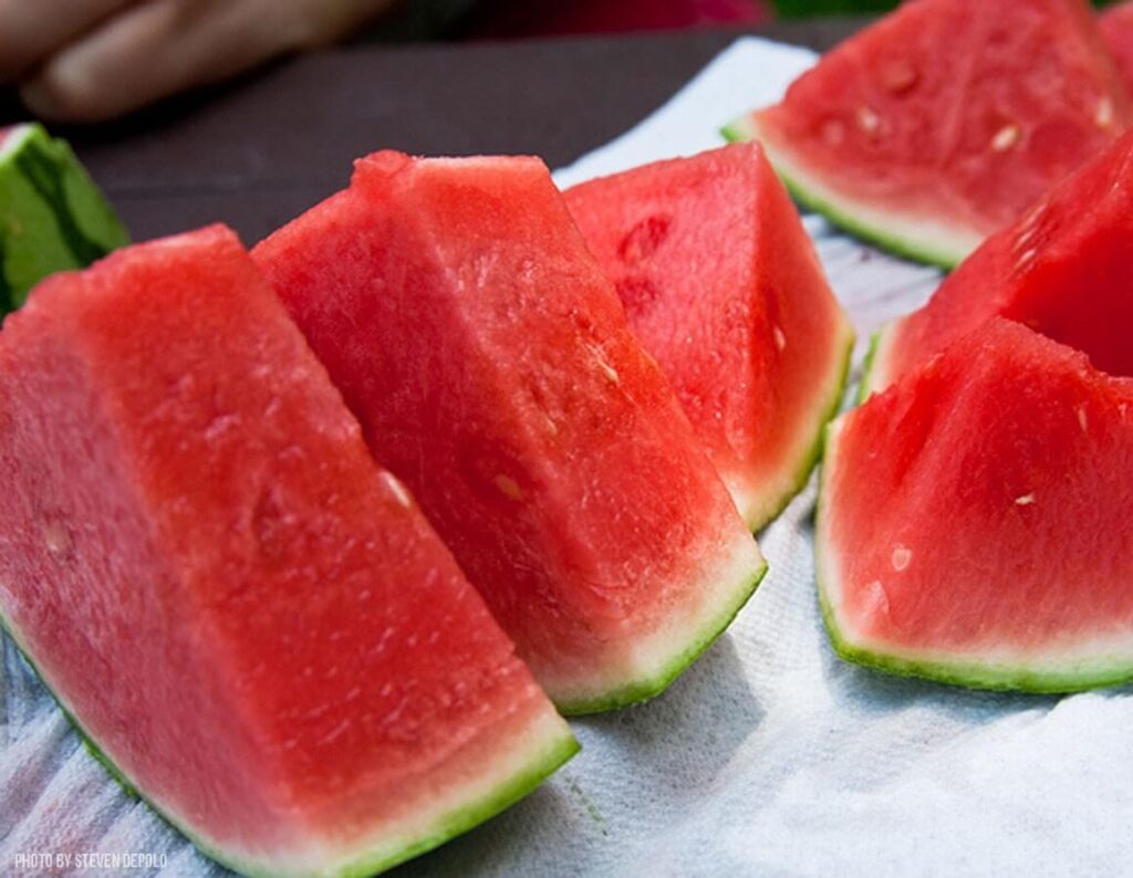 Seedless watermelons can dogs eat watermelon